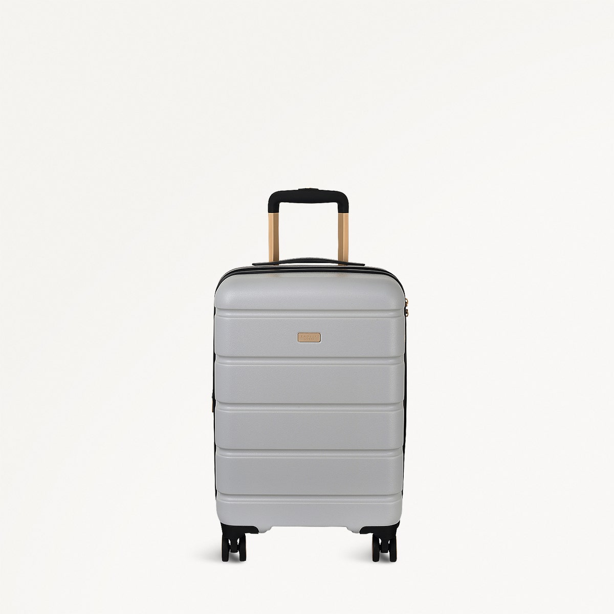 Mist 4 Wheel Carry On - Radley London Women