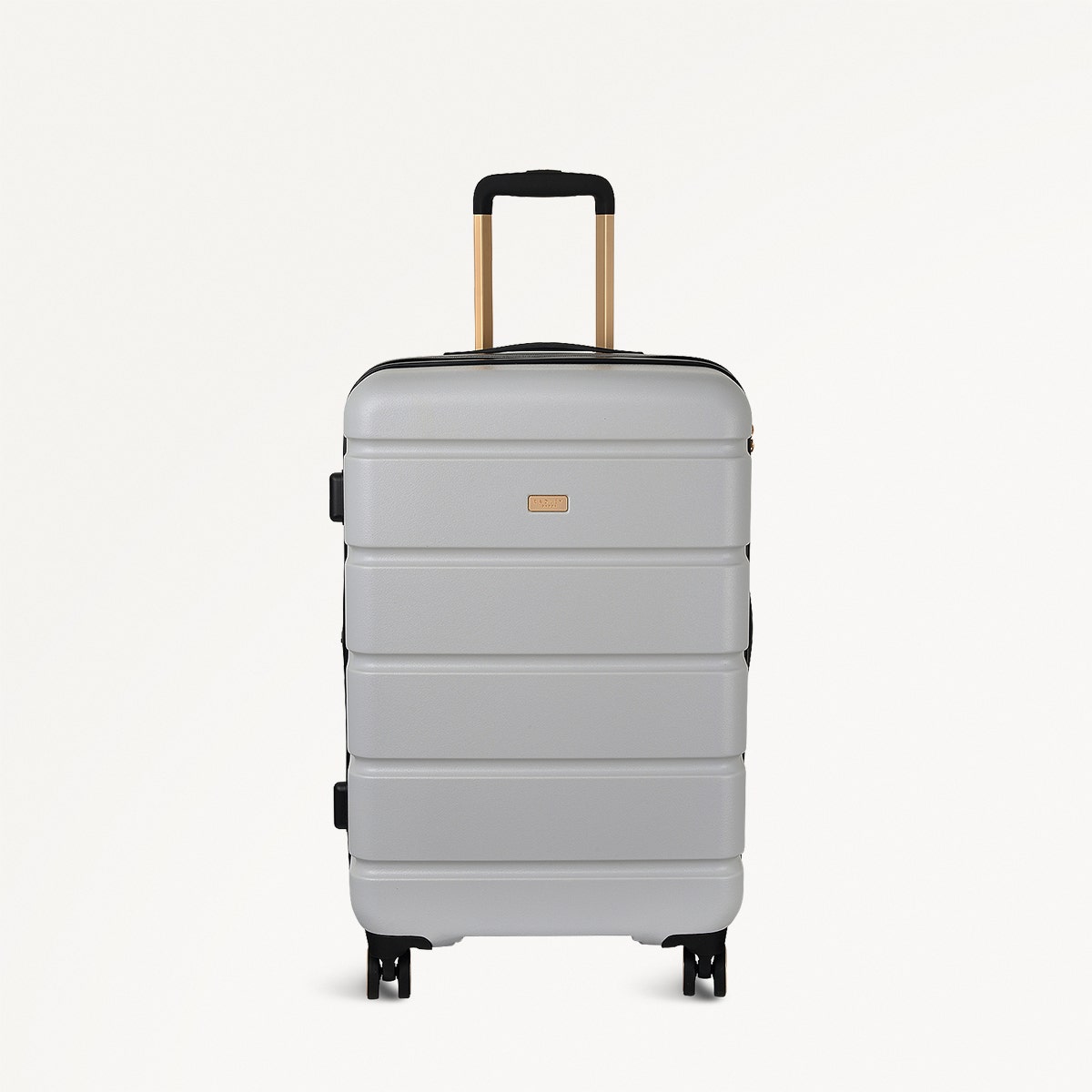 Mist 4 Wheel Medium Suitcase - Radley London Women