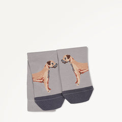 Ash 1 Pack Socks - Radley London Women